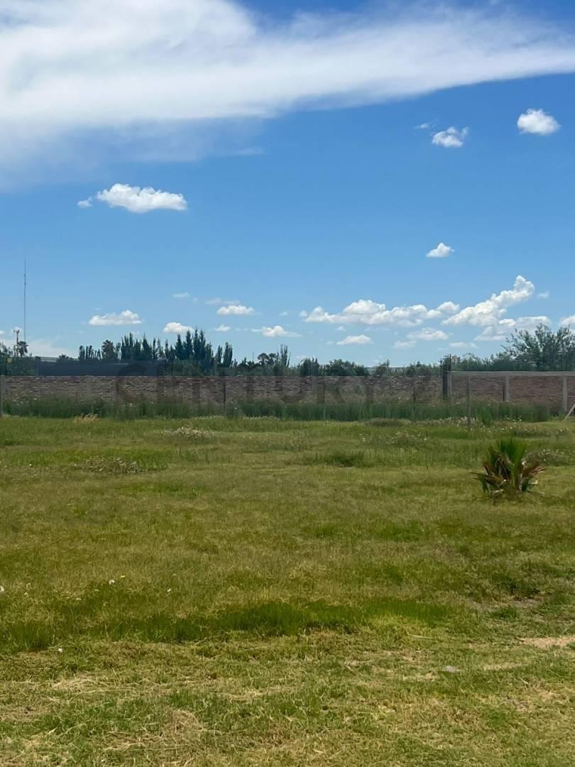 Foto de Terreno en venta Los Corralitos, imagen 5