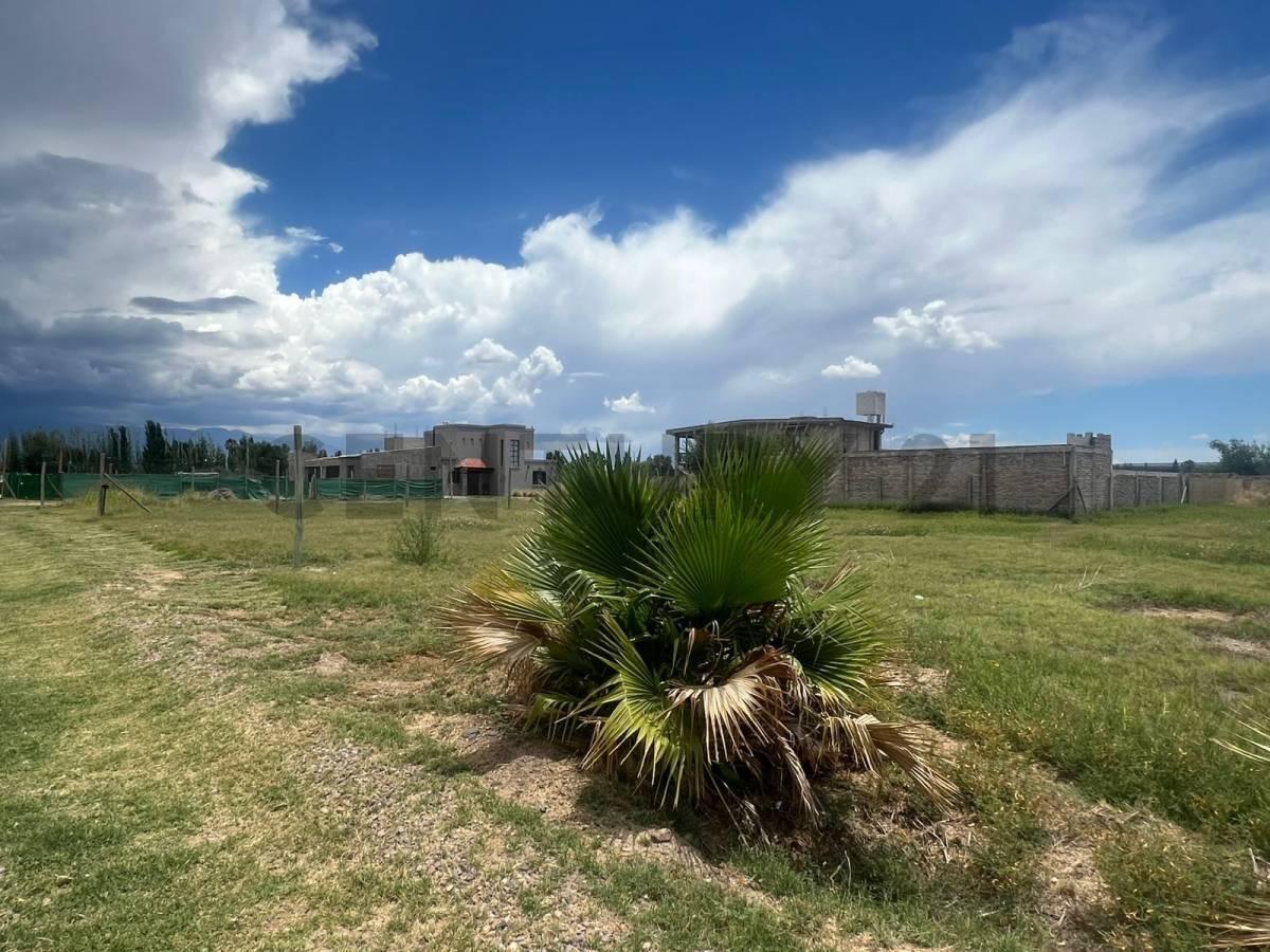 Foto de Terreno en venta Los Corralitos, imagen 3