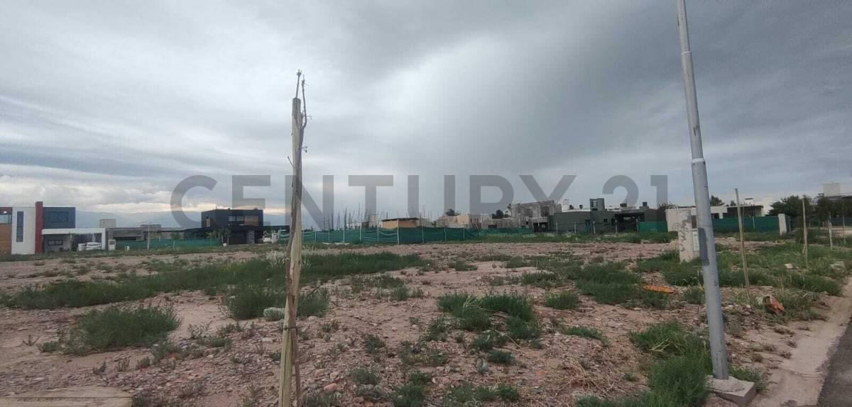 Foto de VENTA LOTE BARRIO LOMAS DEL TORREON, imagen 5