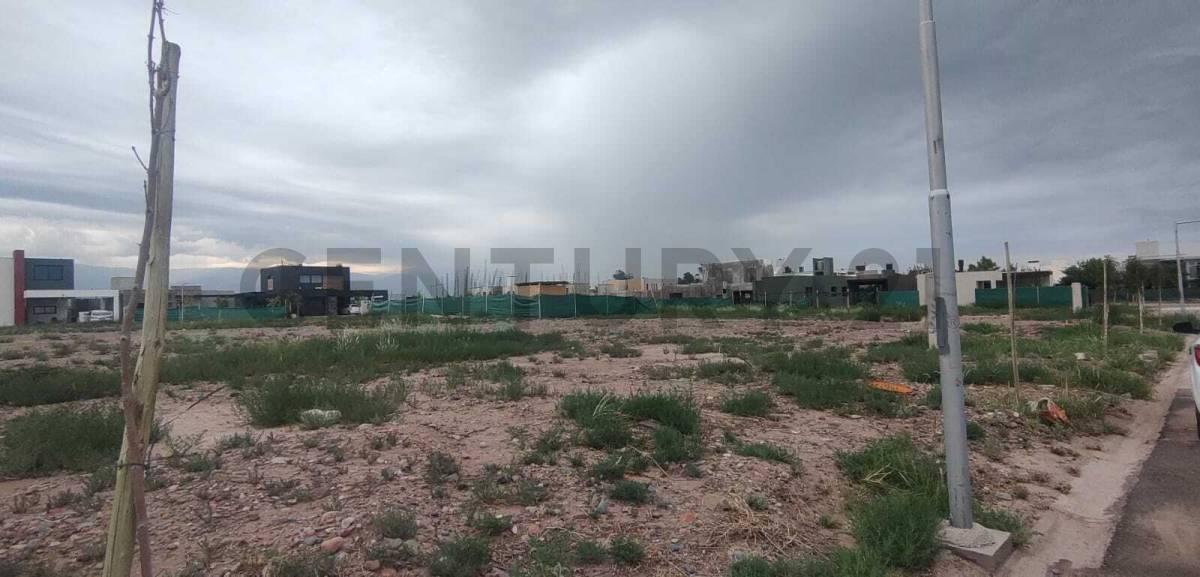 Foto de VENTA LOTE BARRIO LOMAS DEL TORREON, imagen 1