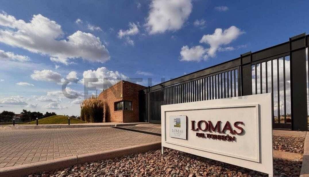 Foto de VENTA LOTE BARRIO LOMAS DEL TORREON, imagen 3