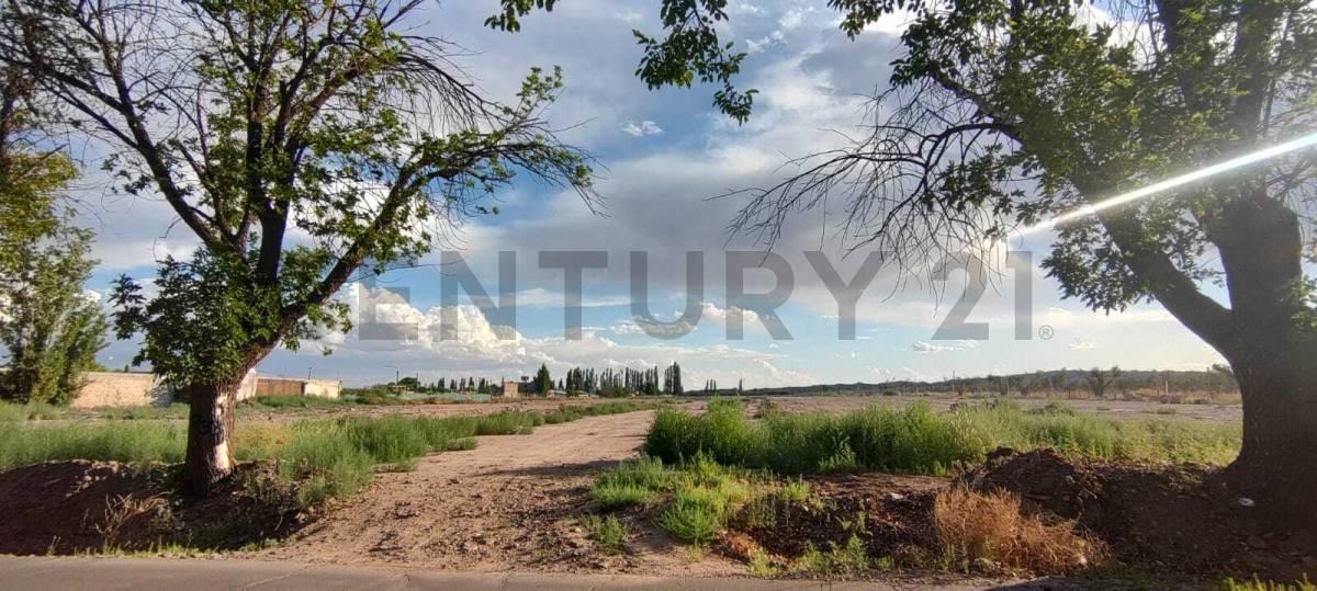 Foto de Terreno Barrio Cooperativa Agua y Energia, imagen 1