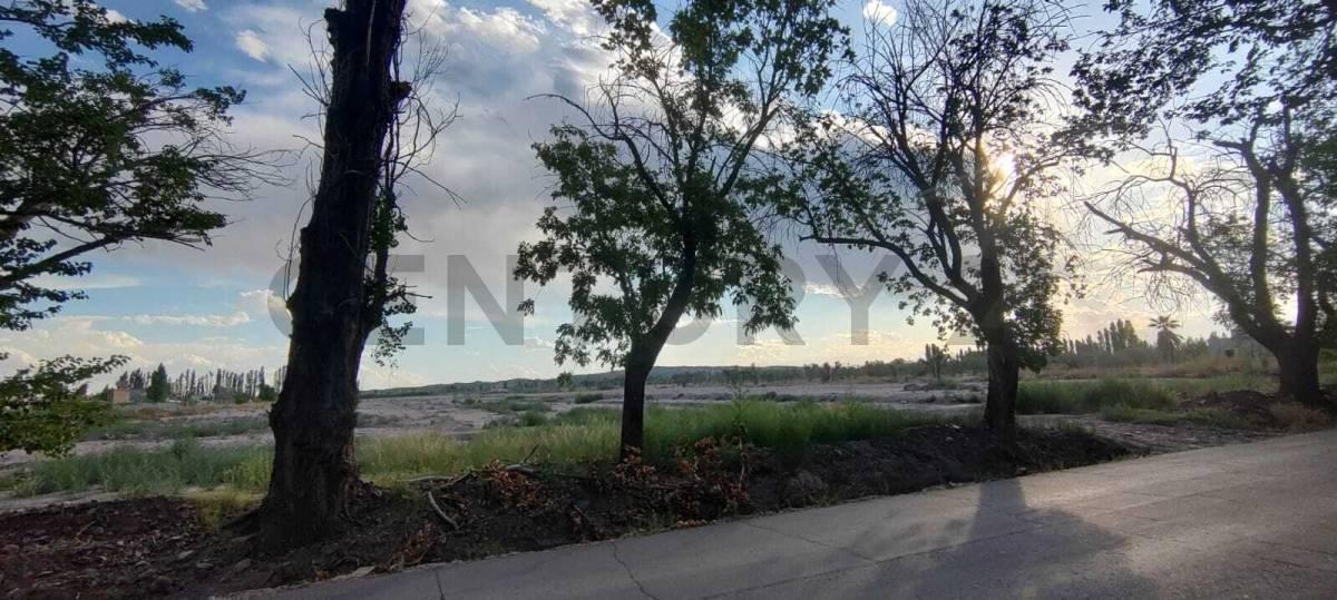 Foto de Terreno Barrio Cooperativa Agua y Energia, imagen 5