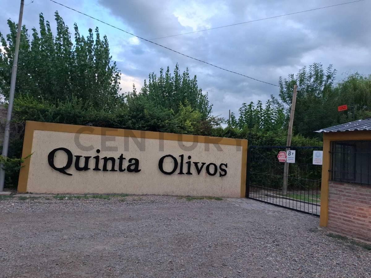 Foto de CENTURY 21 LUCIO BARROSO VENDE CASA EN QUINTA OLIVOS, imagen 1
