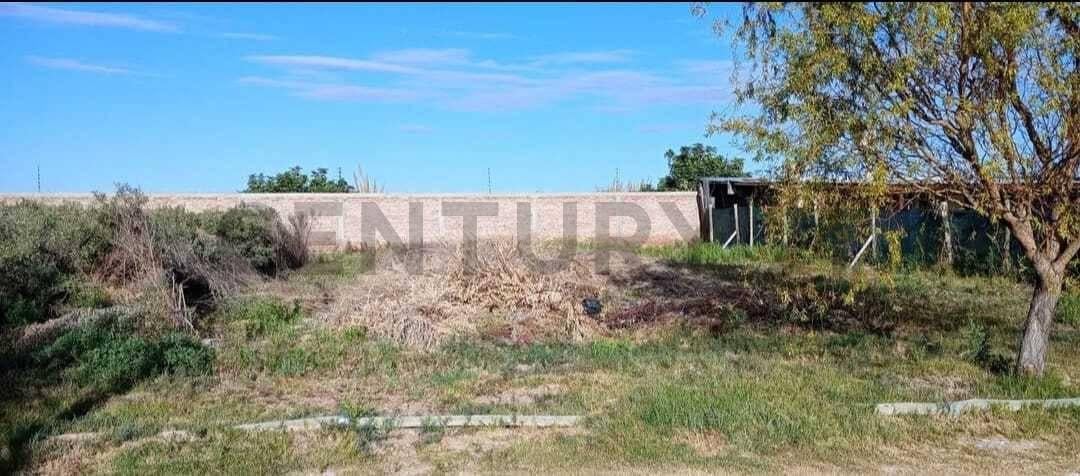 Foto de Venta lote Barrio Las Palmeras, imagen 3