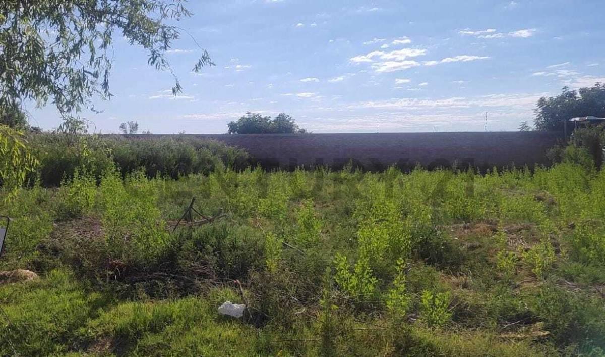 Foto de Venta lote Barrio Las Palmeras, imagen 4