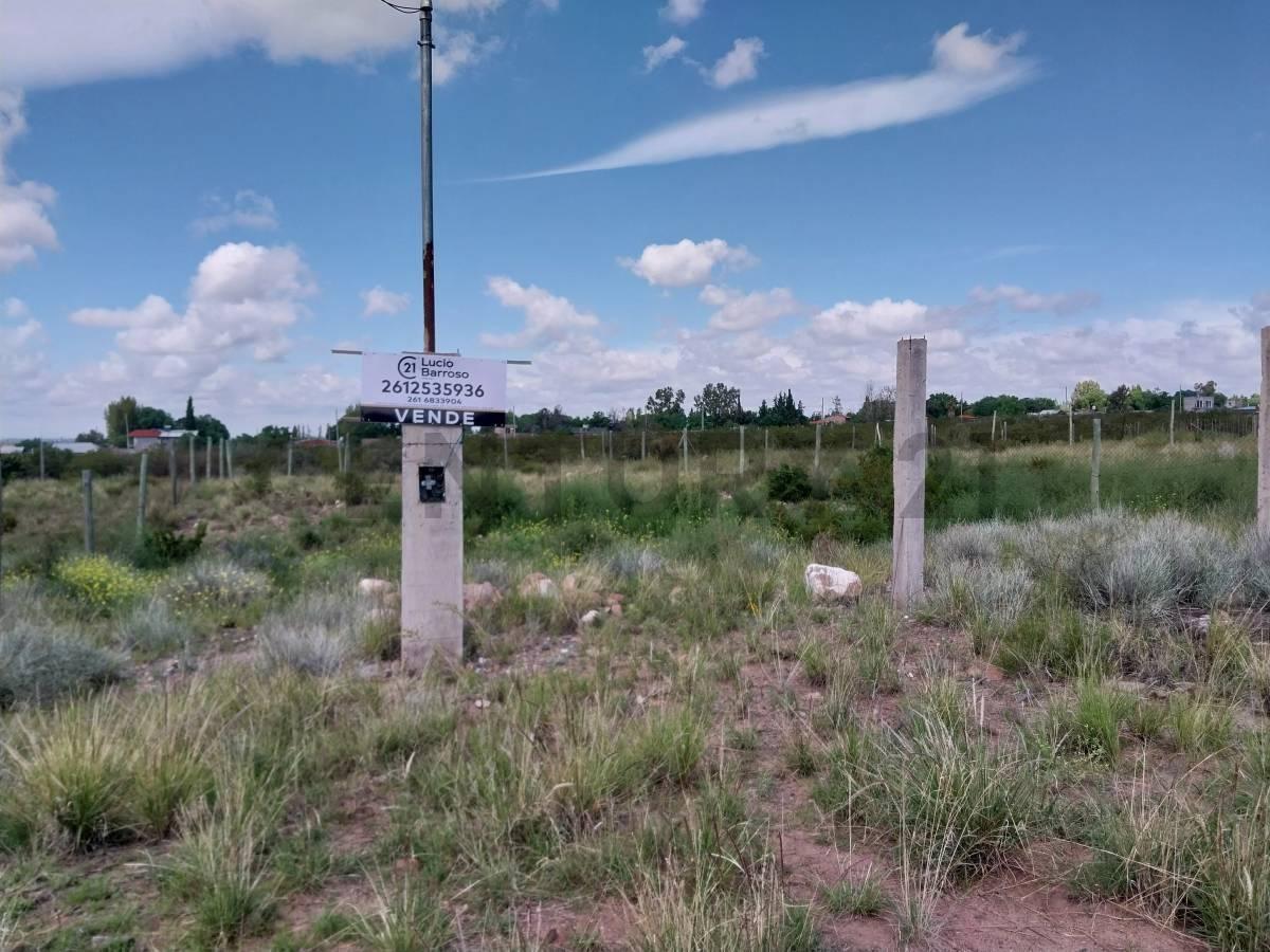 Foto de Lote en venta Pedemonte Luján de Cuyo, imagen 4