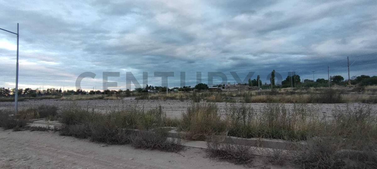 Foto de Venta lote en Coquimbito, imagen 4