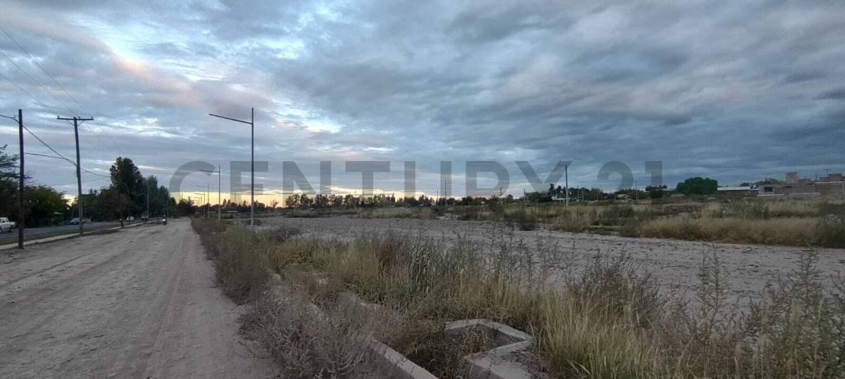 Foto de Venta lote en Coquimbito, imagen 3
