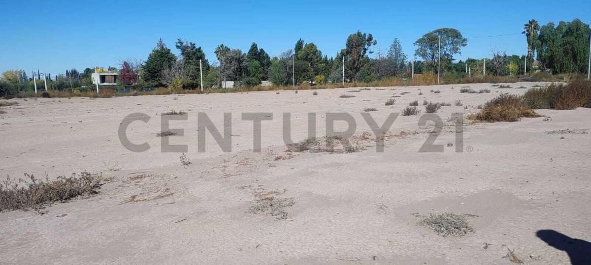 Foto de Venta terreno en Barrio Villa Guadalupe, imagen 4