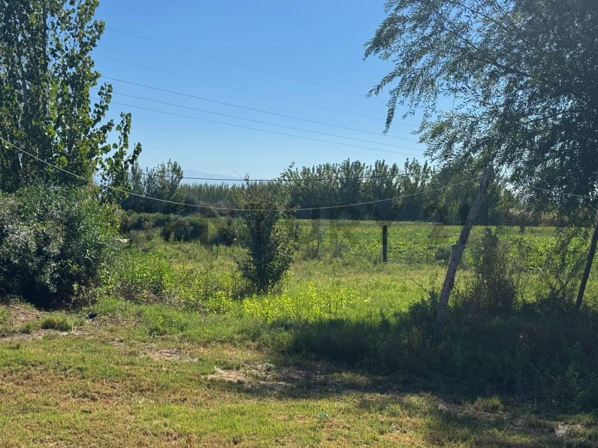 Foto de venta de terreno en corralitos calle milagros, imagen 1