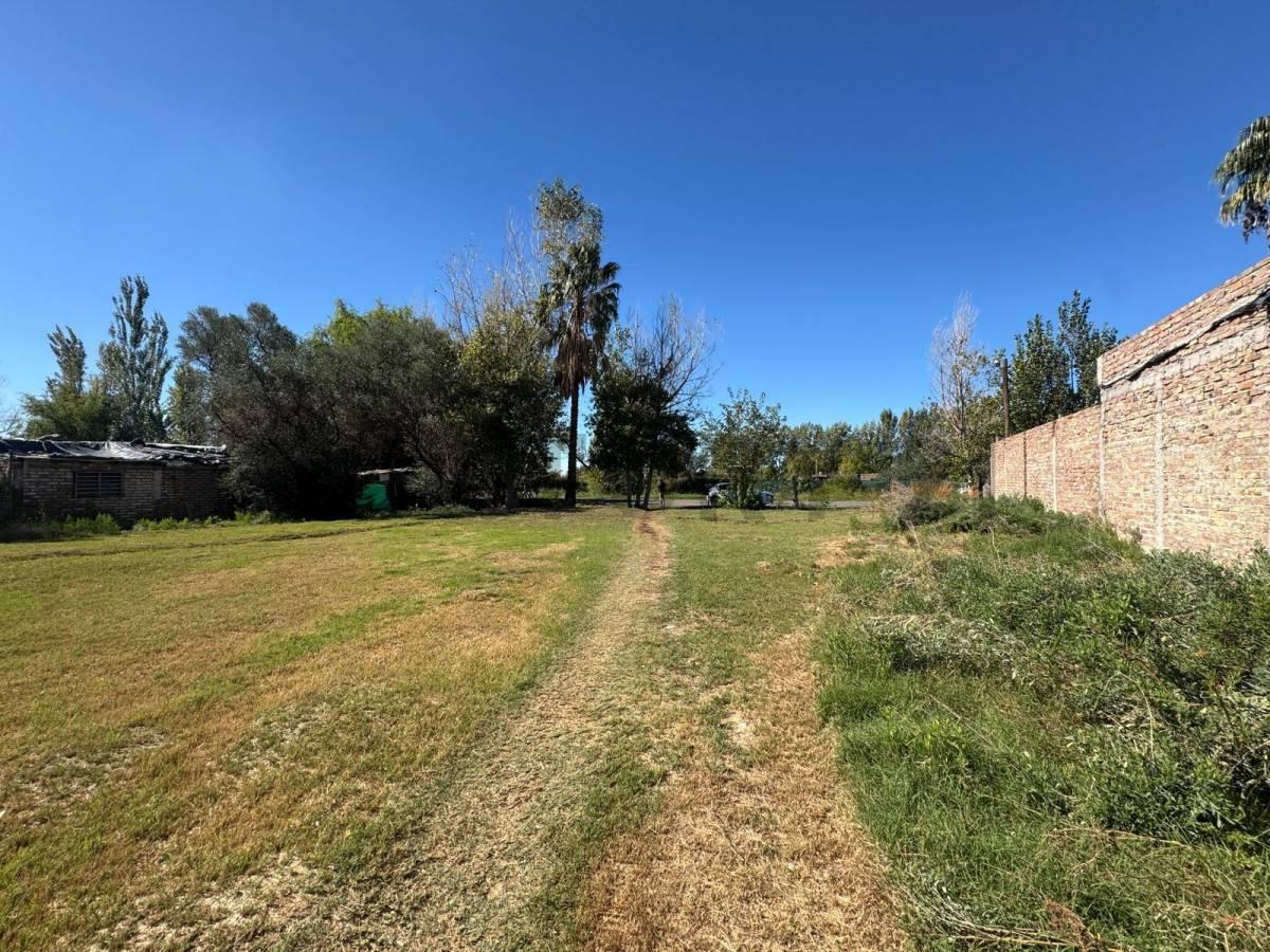 Foto de venta de terreno en corralitos calle milagros, imagen 4
