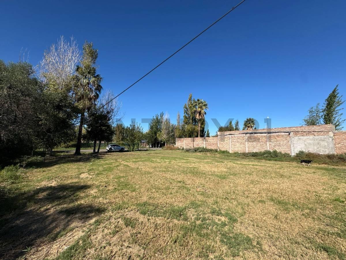 Foto de venta de terreno en corralitos calle milagros, imagen 3