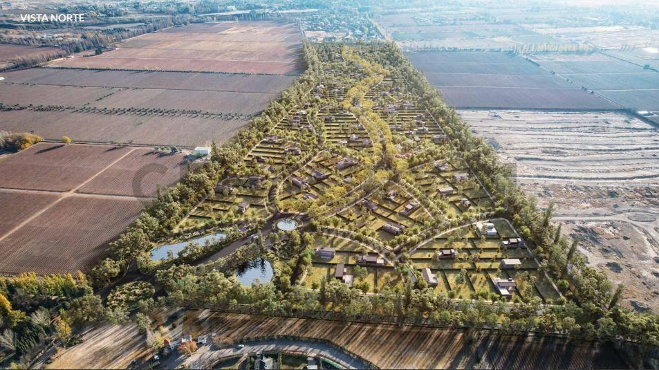 Foto de LOTE EN VENTA - QVATTRO DEL PLATA - VISTALBA - LUJAN DE CUYO, imagen 4