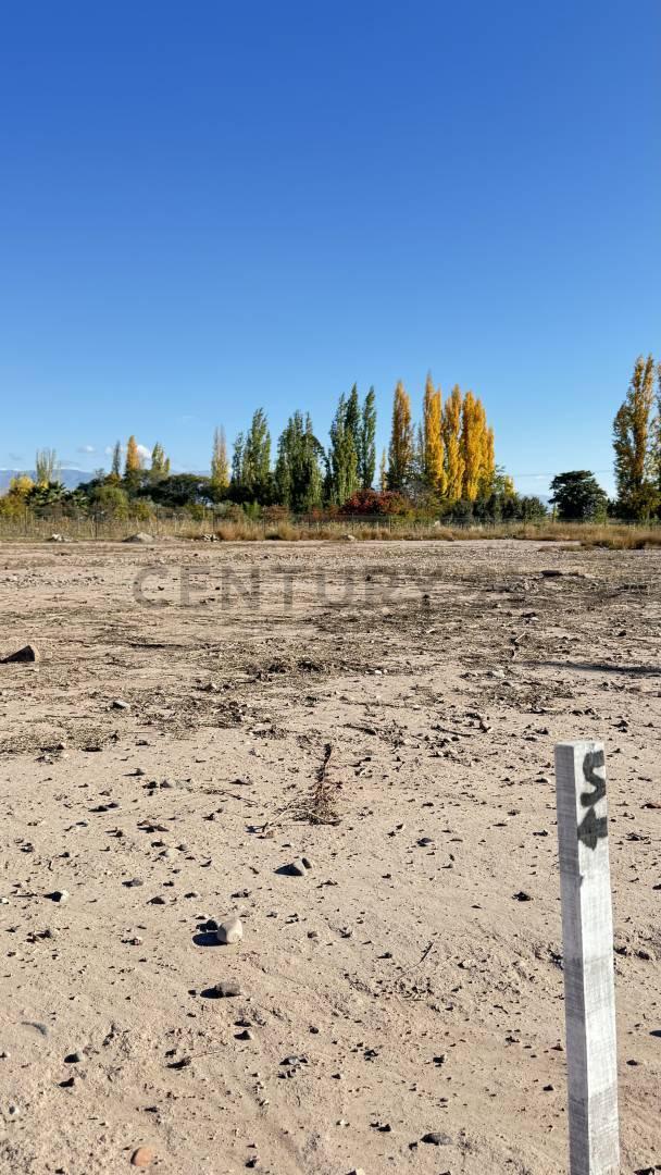 Foto de Venta de Lote, imagen 5