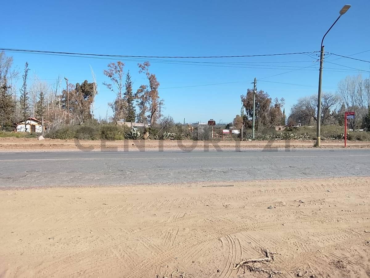 Foto de TERRENO EN VENTA BLANCO ENCALADA, LUJAN DE CUYO, imagen 2