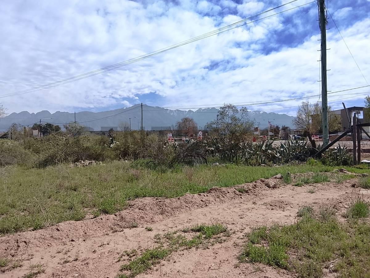 Foto de TERRENO EN VENTA BLANCO ENCALADA, LUJAN DE CUYO, imagen 1