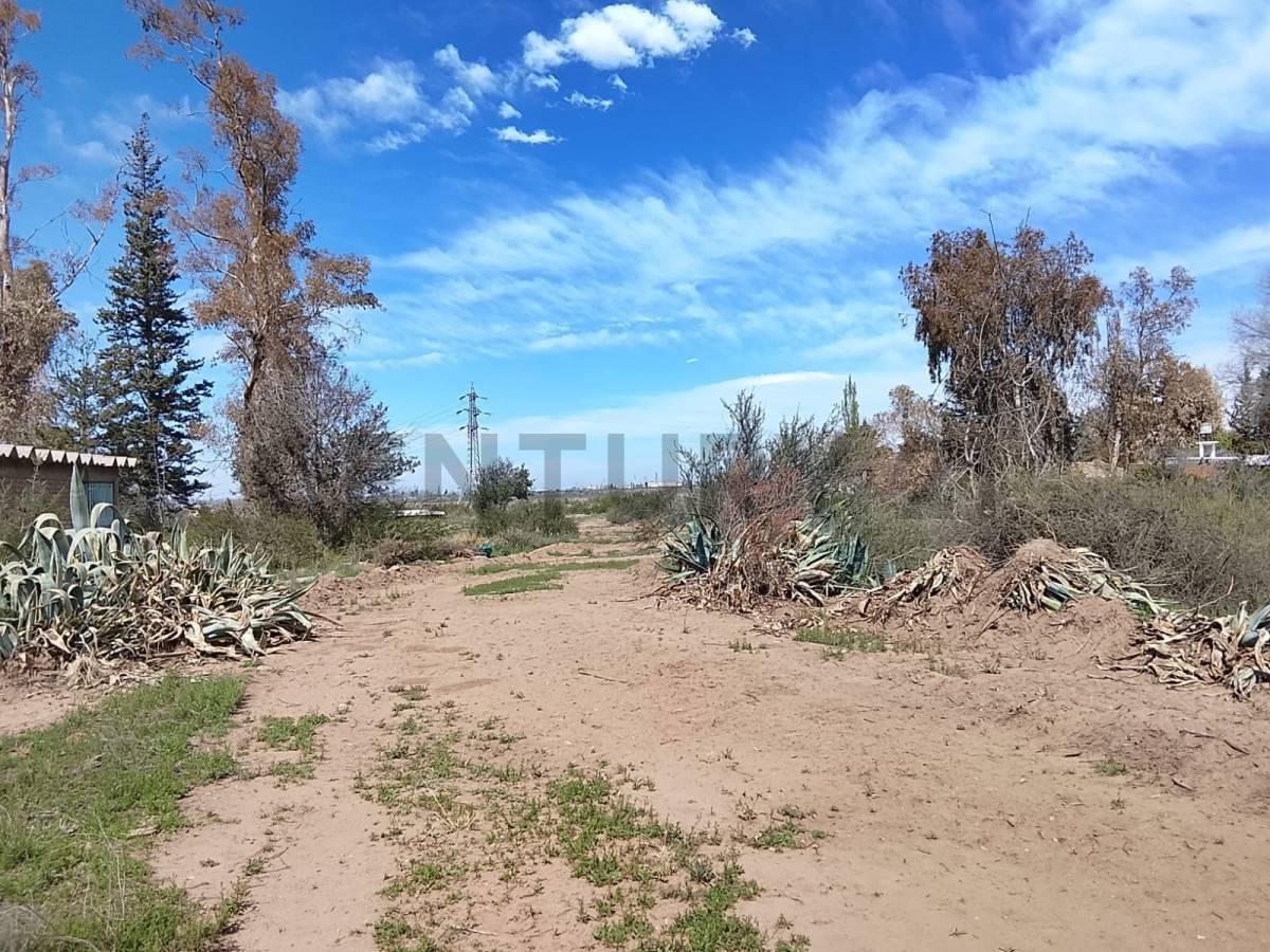Foto de TERRENO EN VENTA BLANCO ENCALADA, LUJAN DE CUYO, imagen 5