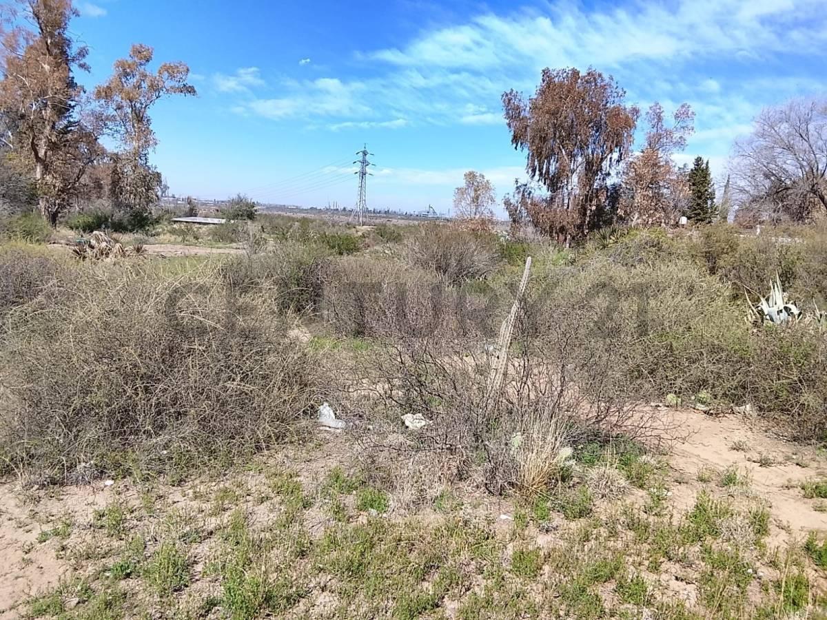 Foto de TERRENO EN VENTA BLANCO ENCALADA, LUJAN DE CUYO, imagen 4