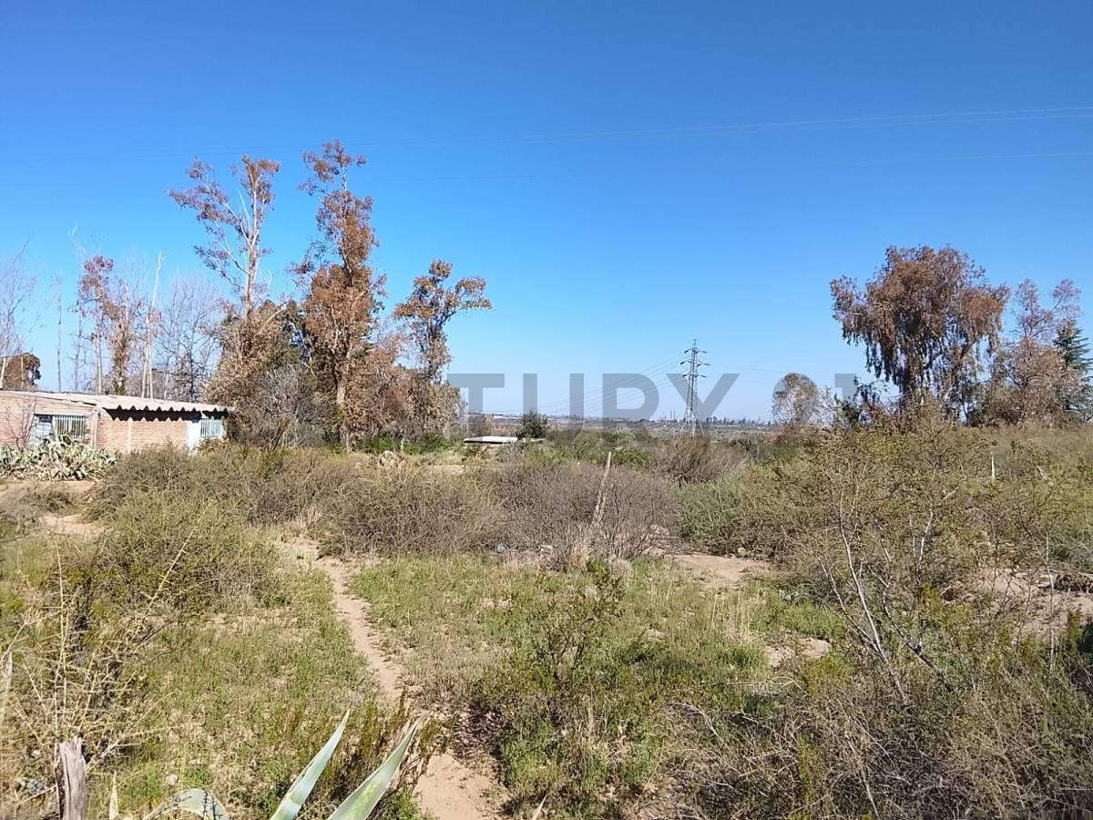 Foto de TERRENO EN VENTA BLANCO ENCALADA, LUJAN DE CUYO, imagen 3