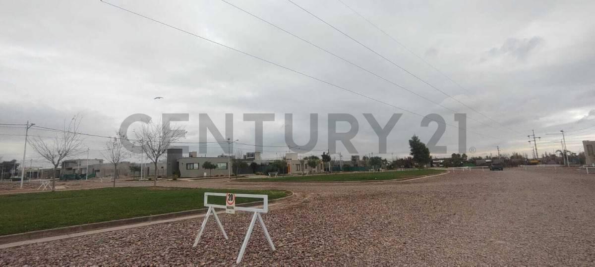 Foto de Venta de terreno Barrio Vista Oliva, imagen 4