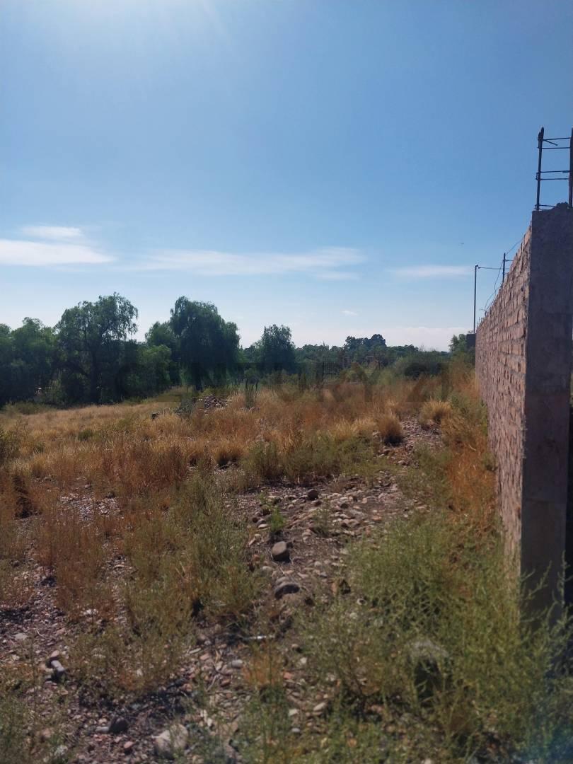 Foto de VENTA TERRENO, PERDRIEL- LUJAN DE CUYO, imagen 5