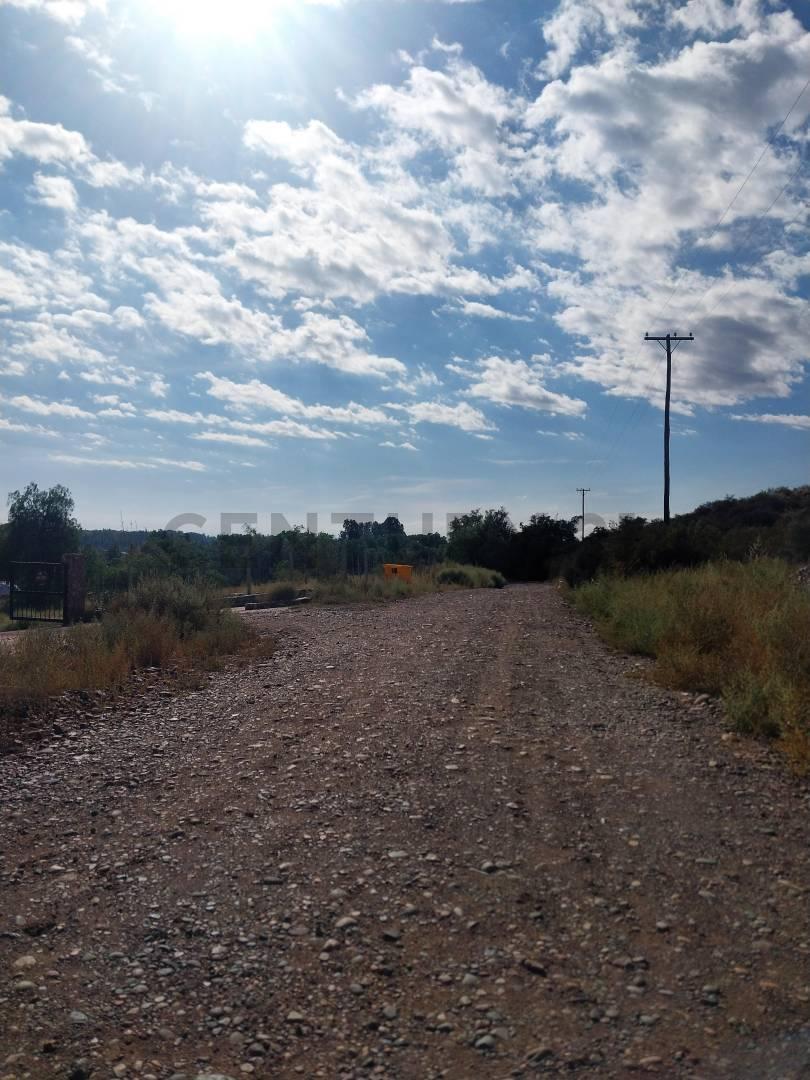 Foto de VENTA TERRENO, PERDRIEL- LUJAN DE CUYO, imagen 2
