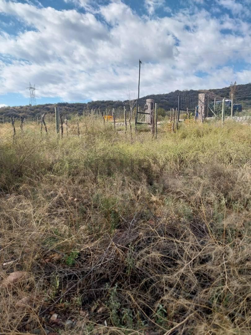 Foto de VENTA TERRENO, PERDRIEL- LUJAN DE CUYO, imagen 1