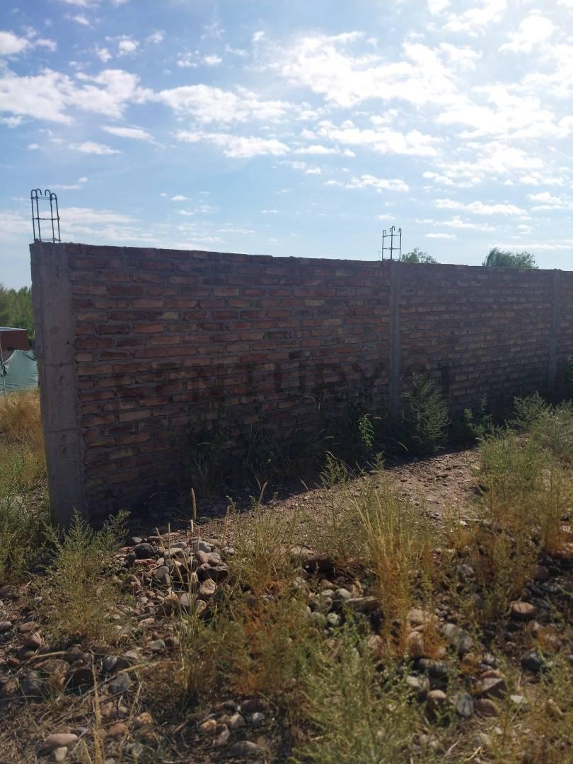 Foto de VENTA TERRENO, PERDRIEL- LUJAN DE CUYO, imagen 4