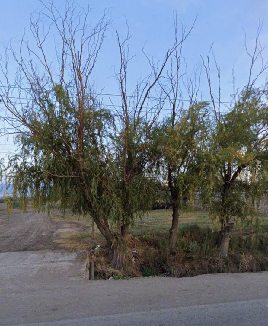 Foto de Venta de terreno, imagen 3