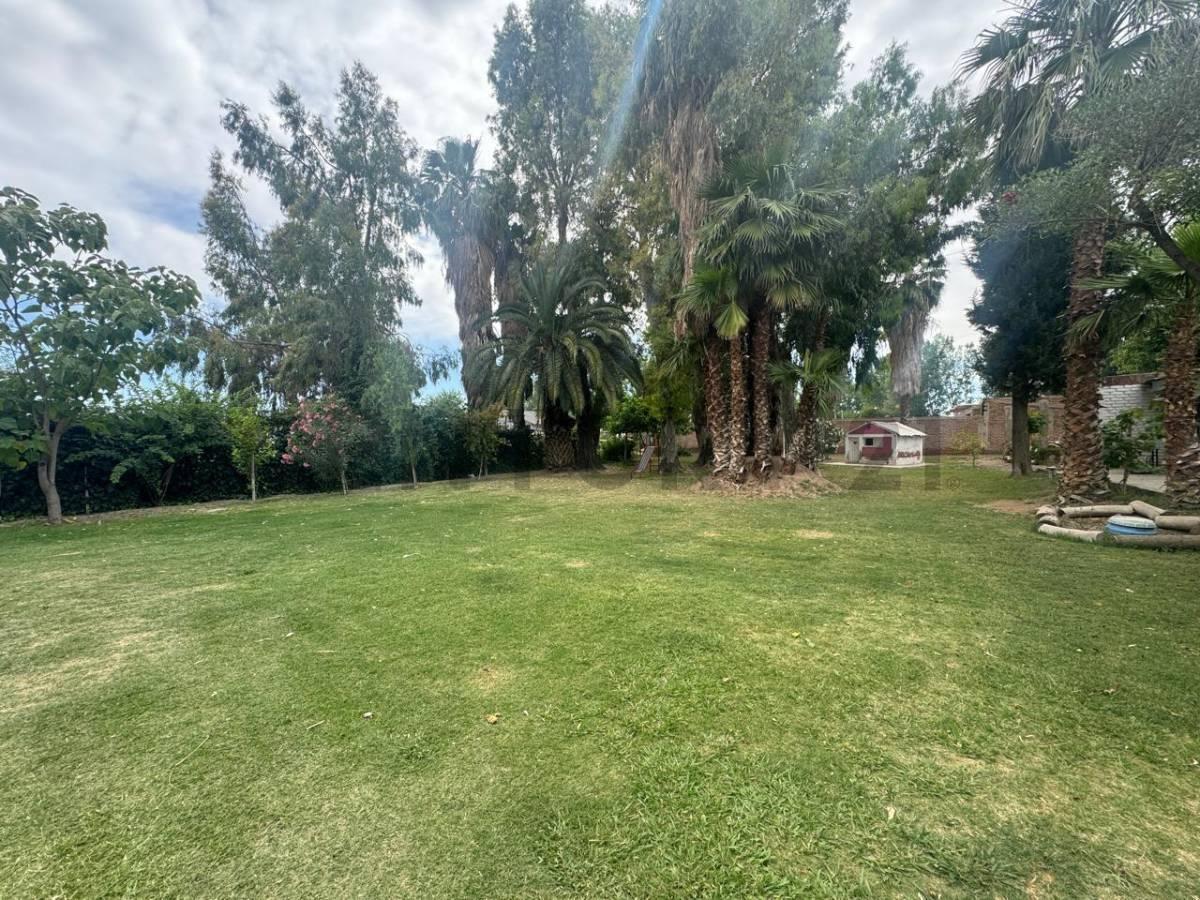 Foto de Se vende terreno con cuatro propiedades ( Excelente oportunidad ) APTA, imagen 2