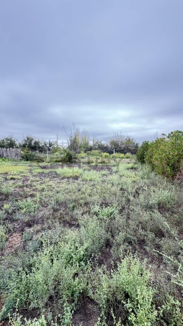 Foto de Venta de terreno, imagen 5