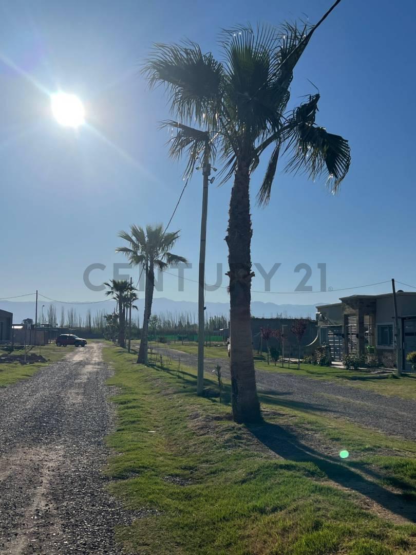 Foto de Casa quincho en venta -Corralitos-, imagen 2