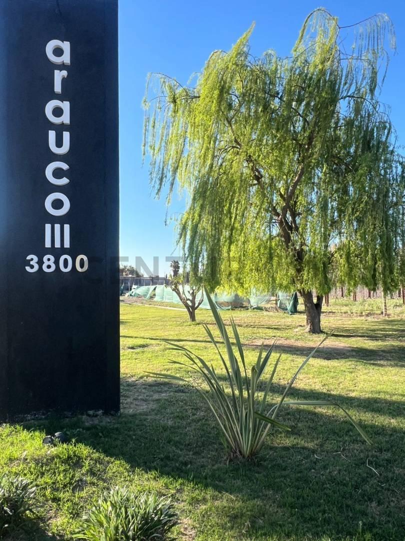 Foto de Casa quincho en venta -Corralitos-, imagen 1
