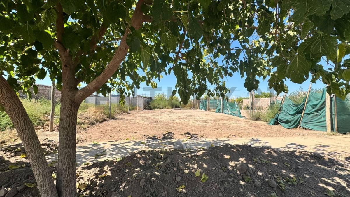 Foto de Venta de terreno calle Roca, imagen 3