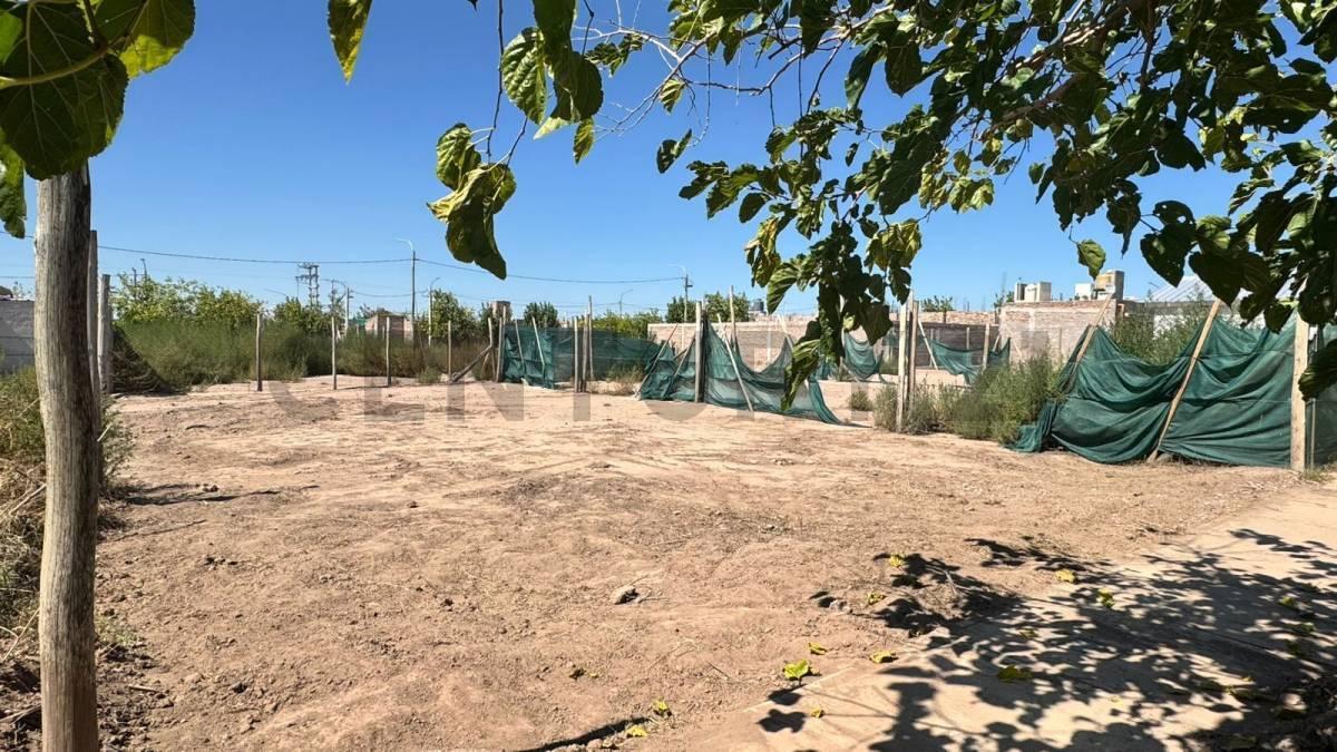 Foto de Venta de terreno calle Roca, imagen 1