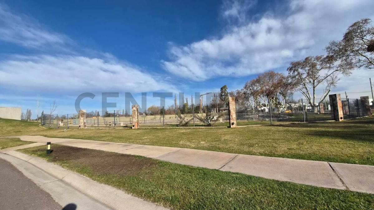 Foto de LOTE EN VENTA EN LUJAN DE CUYO, CALLE VIAMONTE, imagen 2