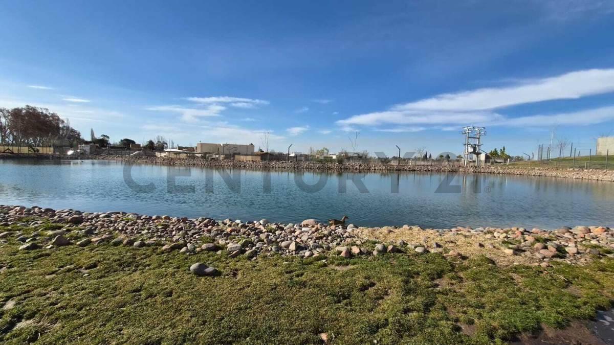 Foto de LOTE EN VENTA EN LUJAN DE CUYO, CALLE VIAMONTE, imagen 5