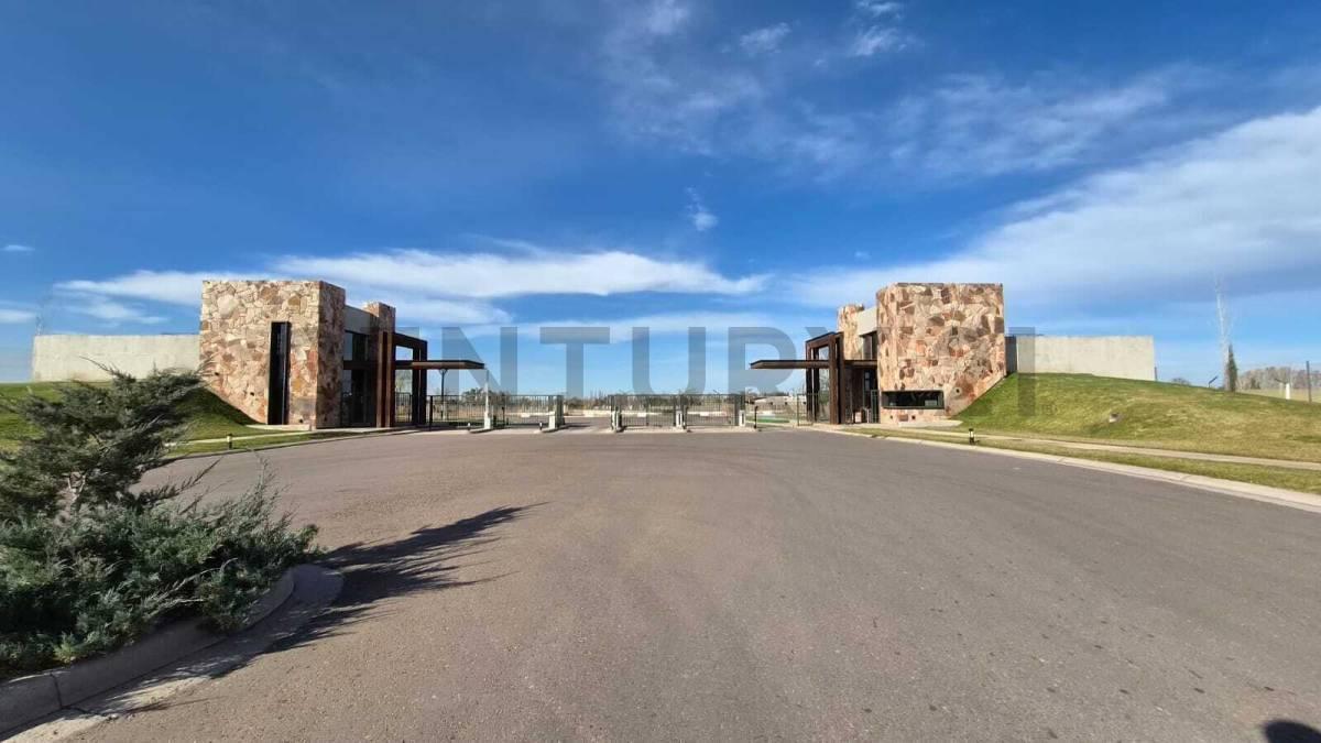 Foto de LOTE EN VENTA EN LUJAN DE CUYO, CALLE VIAMONTE, imagen 3