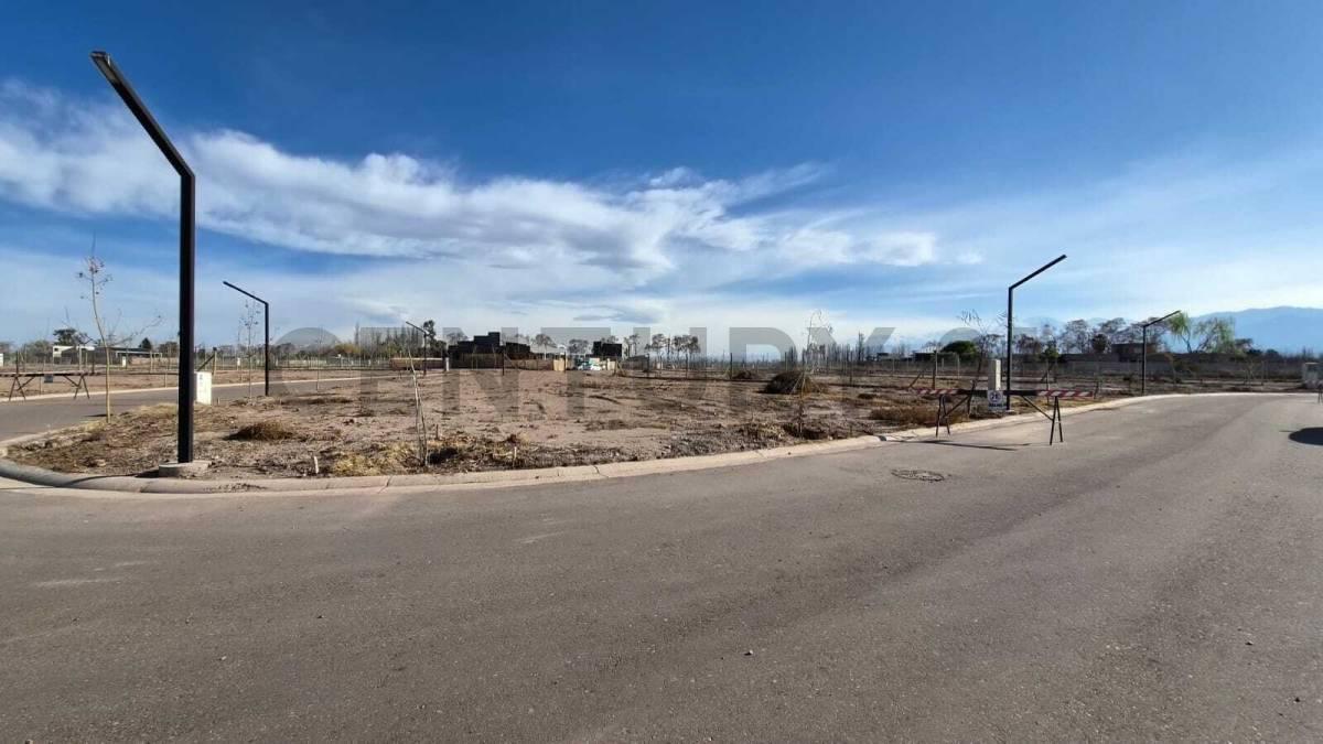 Foto de LOTE EN VENTA EN LUJAN DE CUYO, CALLE VIAMONTE, imagen 1