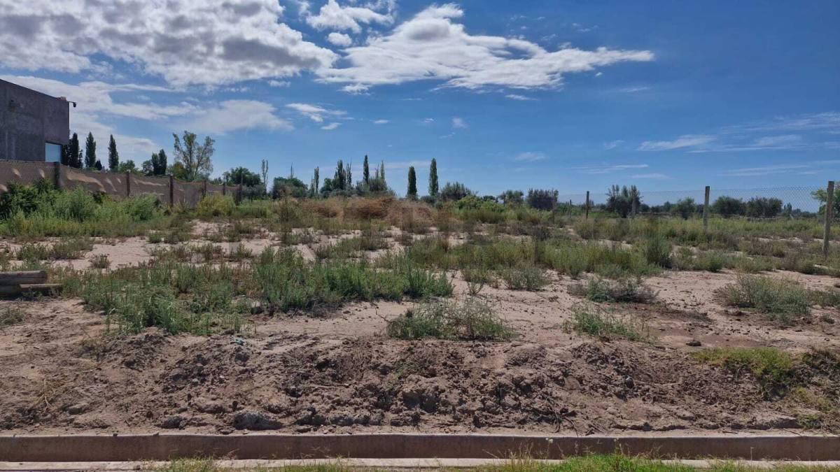 Foto de LOTE EN VENTA EN LUJAN DE CUYO, imagen 5