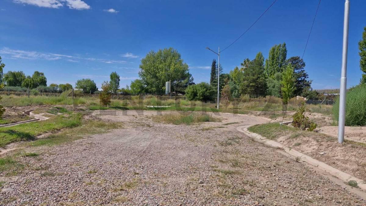 Foto de LOTE EN VENTA EN LUJAN DE CUYO, imagen 2