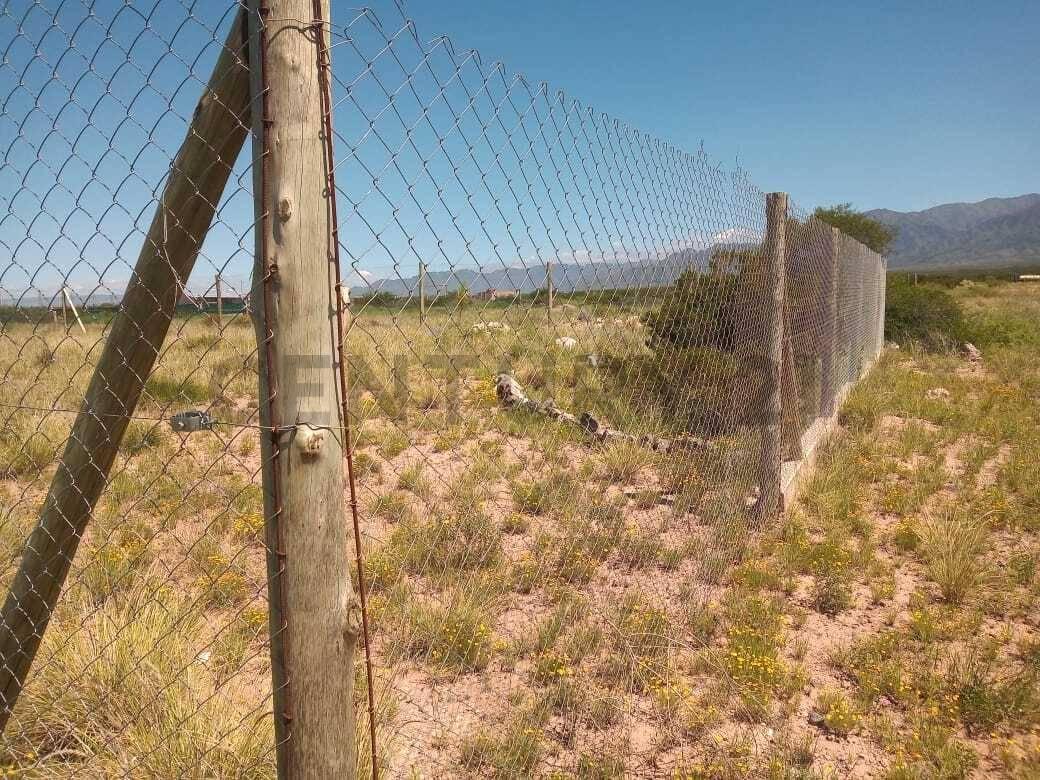 Foto de LOTE EN VENTA EN LUJAN DE CUYO, imagen 4