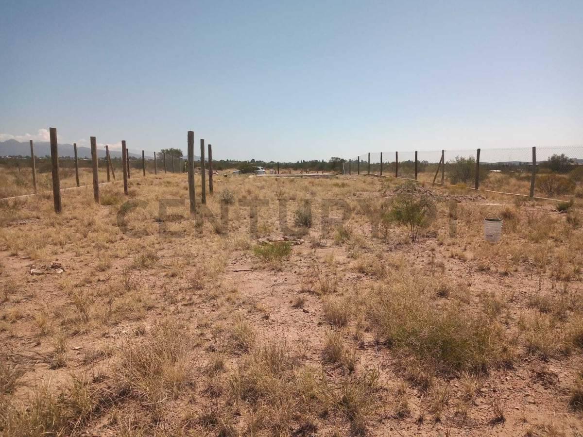 Foto de LOTE EN VENTA EN LUJAN DE CUYO, imagen 1
