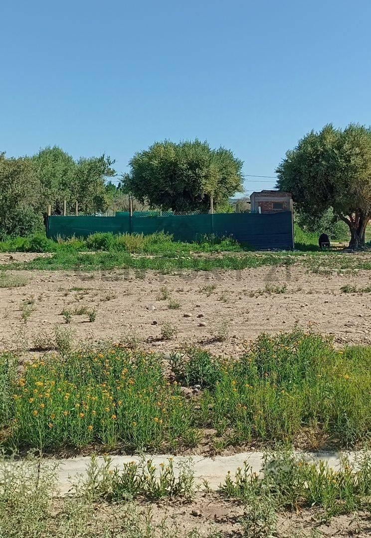 Foto de Lote en venta, imagen 5