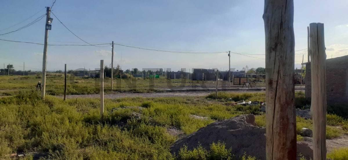 Foto de CENTURY 21 LUCIO BARROSO VENDE LOTES, imagen 2