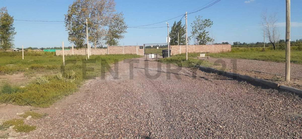 Foto de CENTURY 21 LUCIO BARROSO VENDE LOTES, imagen 3