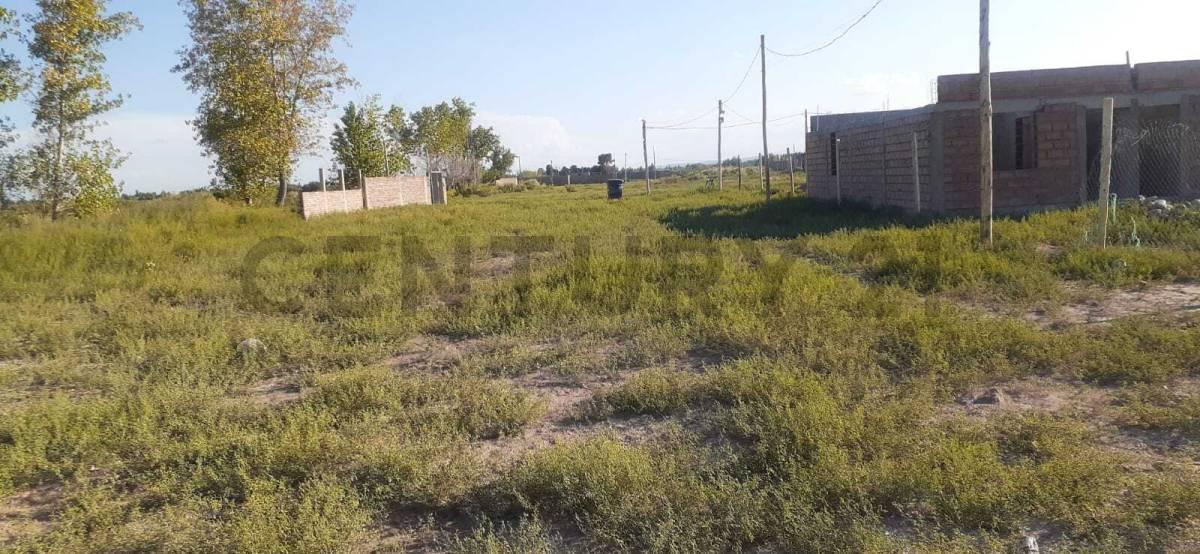 Foto de CENTURY 21 LUCIO BARROSO VENDE LOTES, imagen 5
