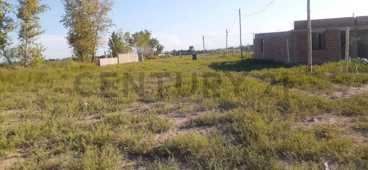 Foto de CENTURY 21 LUCIO BARROSO VENDE LOTES, imagen 4