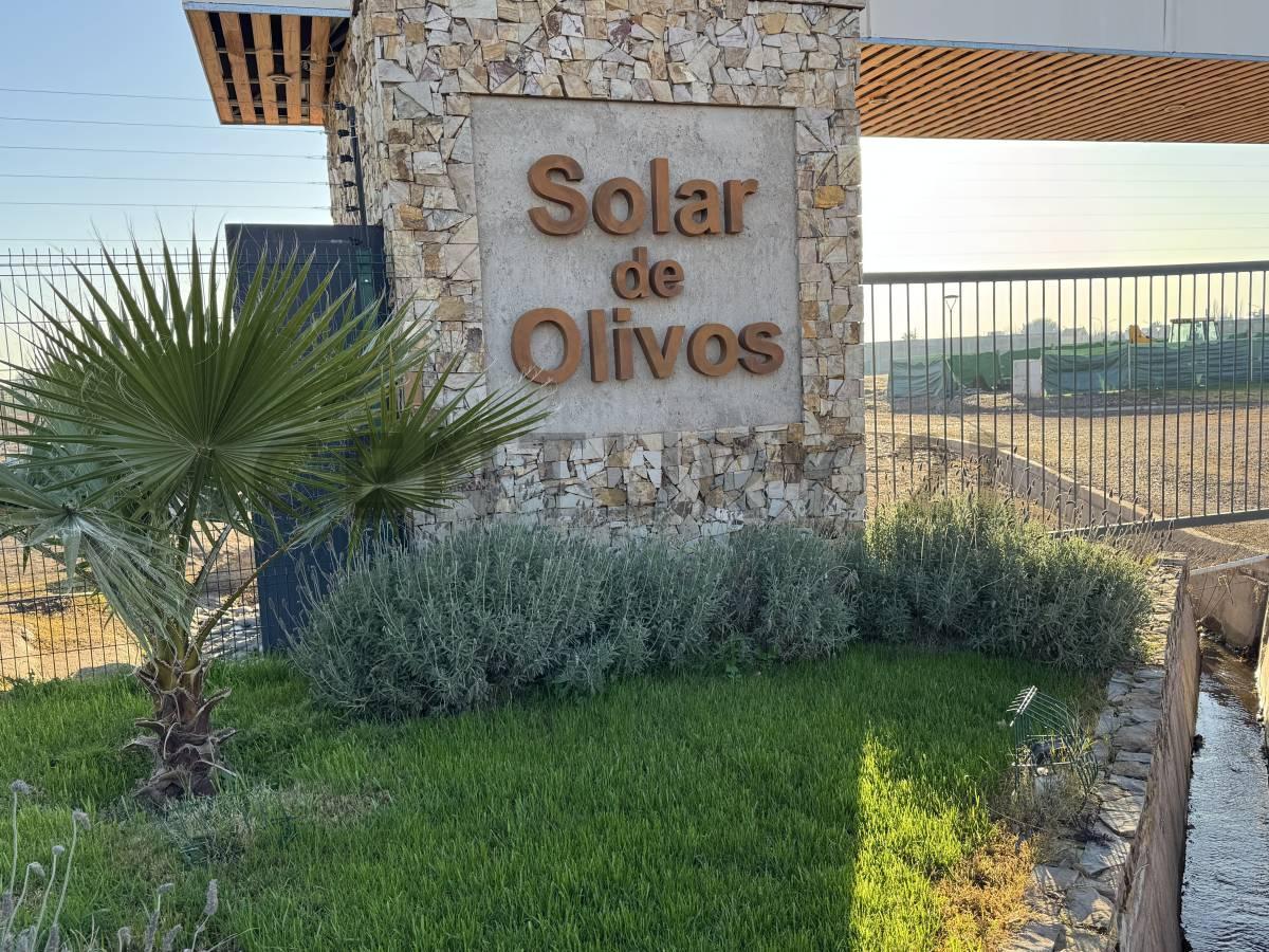 Foto de Lote en venta Barrio Solares de Olivos, imagen 1